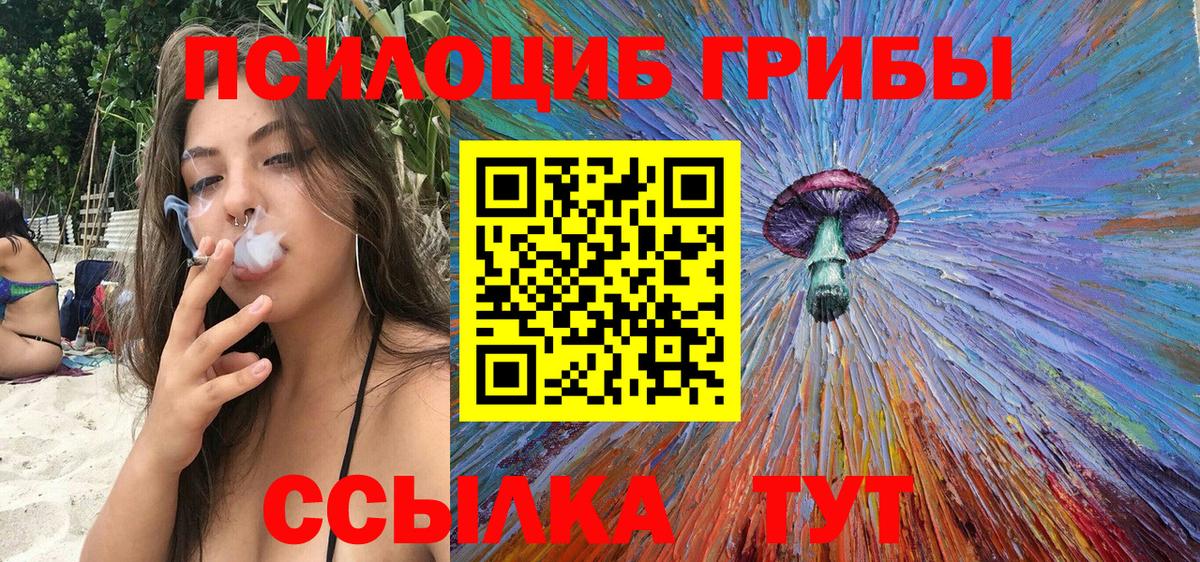 закладка  Галлюциногенные грибы Psilocybine cubensis  Вход с VPN  Урюпинск 